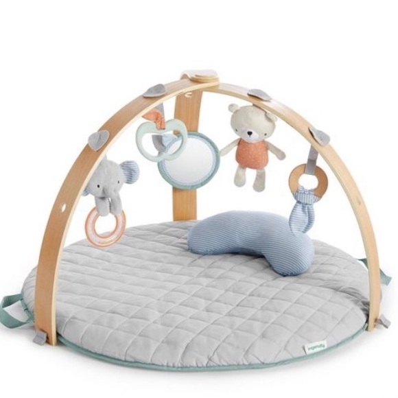Ingenuity Other - Ingenuity Cozy Spot Activity Gym